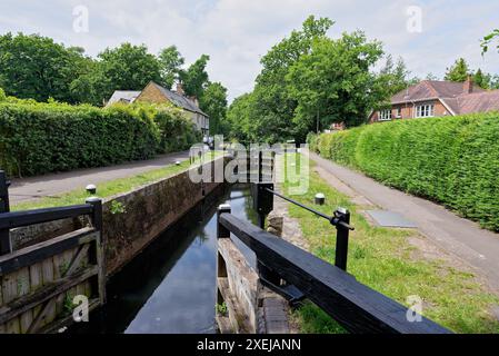 Il canale di Basingstoke e la campagna circostante vicino a West Byfleet Surrey in una giornata estiva, Inghilterra Regno Unito Foto Stock