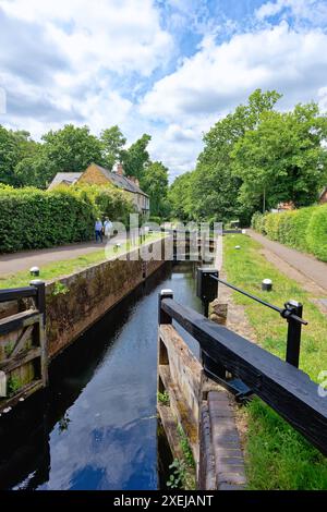 Il canale di Basingstoke e la campagna circostante vicino a West Byfleet Surrey in una giornata estiva, Inghilterra Regno Unito Foto Stock