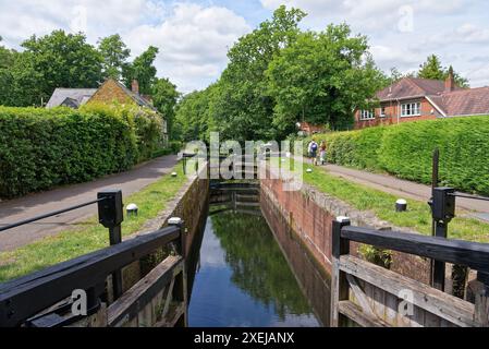 Il canale Basingstoke e la campagna circostante vicino a West Byfleet Surrey in una giornata di sole estati, Inghilterra Regno Unito Foto Stock