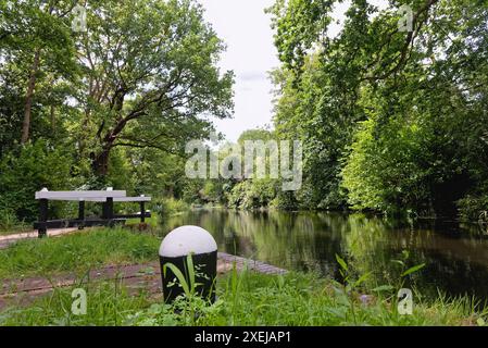 Il canale di Basingstoke e la campagna circostante vicino a West Byfleet Surrey in una giornata estiva, Inghilterra Regno Unito Foto Stock