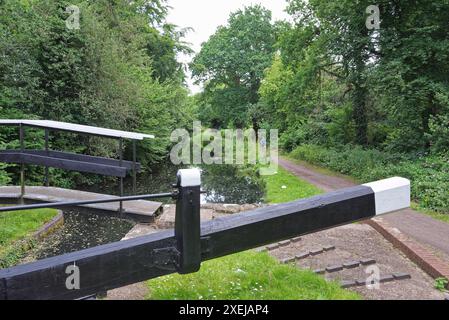 Il canale di Basingstoke e la campagna circostante vicino a West Byfleet Surrey in una giornata estiva, Inghilterra Regno Unito Foto Stock