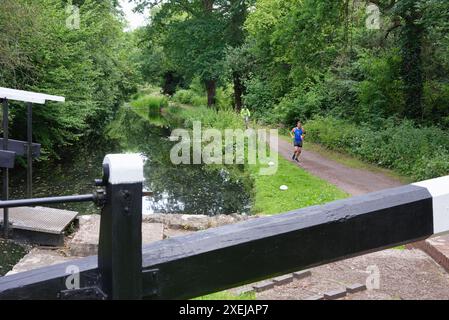 Il canale di Basingstoke e la campagna circostante vicino a West Byfleet Surrey in una giornata estiva, Inghilterra Regno Unito Foto Stock