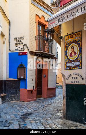 Pittoresco angolo di strada nel quartiere di Santa Cruz, Siviglia, Andalusia, Spagna Foto Stock