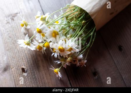 Bouquet di margherite in carta su fondo in legno Foto Stock