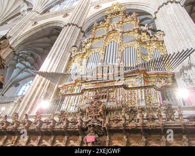 Organo a canne ornato all'interno della cattedrale di Salamanca Foto Stock