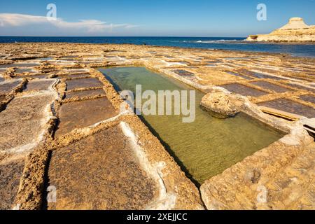 Saline tradizionali nella baia di Xwejni sulla spiaggia dell'isola di Gozo, Malta. Foto Stock