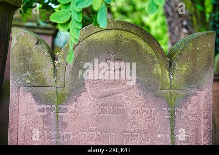 Simbolo della lapide in un cimitero ebraico Foto Stock