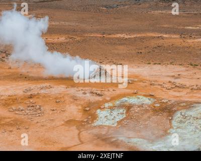 Area geotermale nella valle Haukadular, Islanda, con sorgenti calde fumanti e corsi d'acqua calda Foto Stock