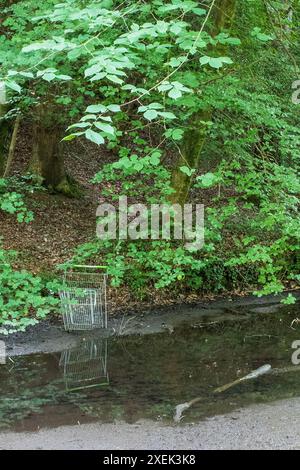 Fai shopping cart in un ruscello panoramico nella Forest Farm & Glamorganshire Canal Nature Reserve, un sito della SSI. Foto Stock