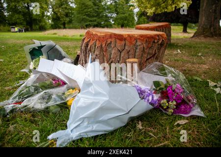 Bourne, Regno Unito. 28 giugno 2024. Fiori lasciati vicino alla scena dell'omicidio di un uomo di 30 anni nella zona del pozzo della città mercato di Bourne, Lincolnshire, Inghilterra, Regno Unito. Credito: Jonathan Clarke/Alamy Live News Foto Stock