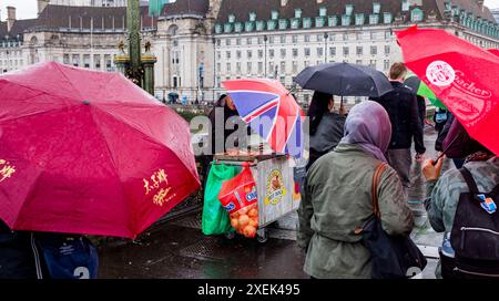 Venditore di hot dog sotto la pioggia sul ponte di Westminster durante le torrenziali piogge estive a Londra, Inghilterra, Regno Unito Foto Stock