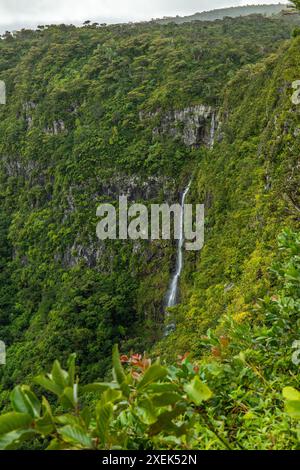 Punto panoramico affacciato sulla giungla. Gorges Viewpoint, Black River National Park, Mauritius Foto Stock