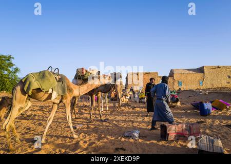 Mauritania, Chinguetti, vita quotidiana Foto Stock