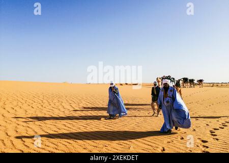 Mauritania, dintorni di Chinguetti, cammello carovana Foto Stock