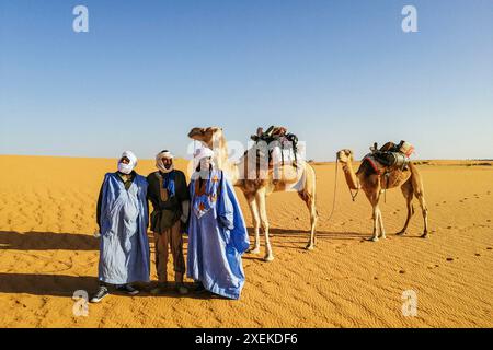 Mauritania, dintorni di Chinguetti, cammello carovana Foto Stock