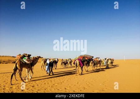 Mauritania, dintorni di Chinguetti, cammello carovana Foto Stock