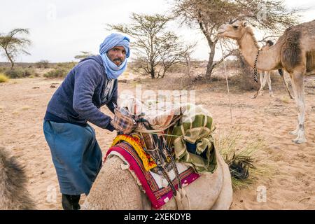 Mauritania, dintorni di M'Haireth, ritratto Foto Stock