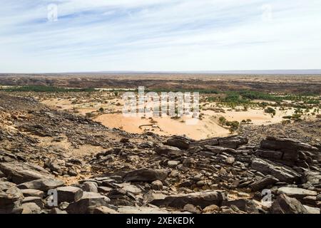 Mauritania, M'Haireth oasi, paesaggio Foto Stock