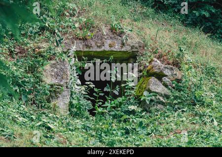 Ricoperto di muschio verde ed erbacce, ingresso alla cantina di pietra nella foresta. Cantina abbandonata, dugout. Foto Stock