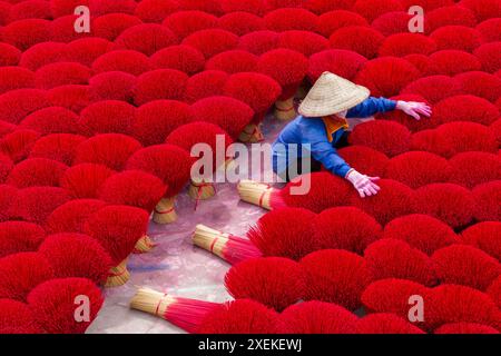 L'incenso rosso vibrante è disposto a terra per asciugare al sole a Quang Phu Cau, Ung Hoa, Vietnam del Nord, Asia a giugno - bastoncini di incenso rosso donna Foto Stock