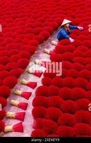 L'incenso rosso vibrante è disposto a terra per asciugare al sole a Quang Phu Cau, Ung Hoa, Vietnam del Nord, Asia a giugno - bastoncini di incenso rosso donna Foto Stock