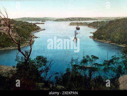Mosman Bay, Hafen von Sydney, Australien, 1890, Historische, Digital restaurierte Reproduktion nach einem Original aus dem 19th Jahrhundert / Mosman Bay, Sydney Harbour, Australia, 1890, Historic, riproduzione restaurata digitalmente da un originale del xix secolo Foto Stock