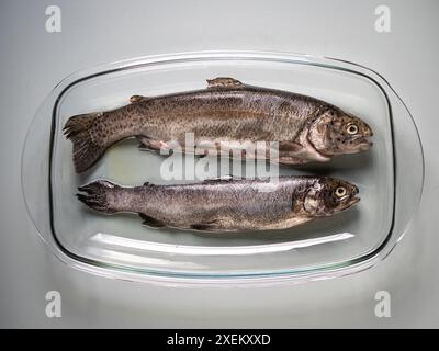 Due salmoni interi freschi in una teglia da forno in vetro, preparazione del cibo, pesce arrosto, cibo per la prestata Foto Stock