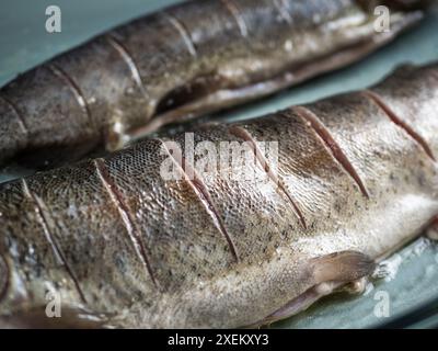 Due salmoni interi freschi con tagli laterali in una teglia da forno in vetro, preparazione del cibo, pesce arrosto, cibo per la prestata Foto Stock