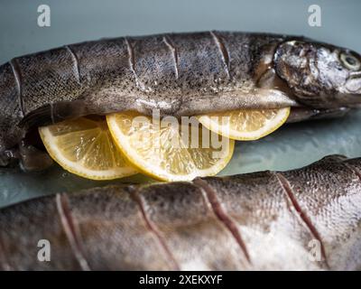 Due salmoni interi in una teglia di vetro ripieni di fette di limone in attesa di essere cotti al forno, preparazione di pesce per la prestata Foto Stock