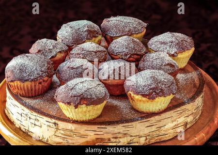 Muffin ricoperti di cioccolato spolverati con zucchero a velo su una tavola di betulla di legno con sfondo nero; studio Foto Stock