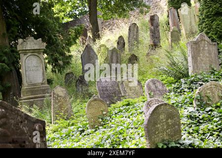 Cimitero ebraico nel quartiere ebraico di Trebic, Repubblica Ceca Foto Stock