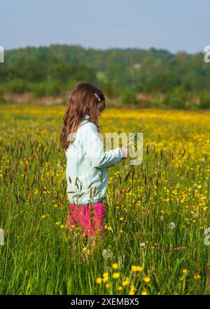 Una bambina carina gode dell'aria fresca, raccoglie spikelets in un campo con erba fresca e fiori selvatici. Paesaggio rurale. Ecologia Foto Stock