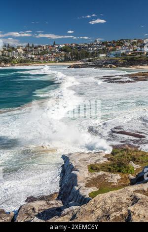 Pittoresche spiagge sabbiose di Tamarama e Bronte a Sydney. Grazie alle onde alte, sono il luogo perfetto per il surf. Foto Stock