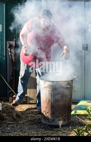 Donna che brucia erbacce su un falò nel suo giardino, piuttosto che rischiare di spargere semi aggiungendo loro al cumulo di compost. Foto Stock