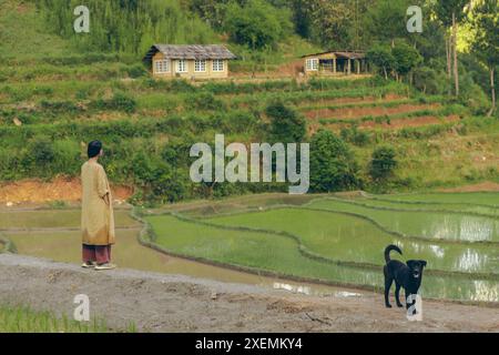 Una giovane donna fa una tranquilla passeggiata nella campagna del Vietnam con il suo cane: Ngoc Chien, Muong la District, Son la, Vietnam Foto Stock