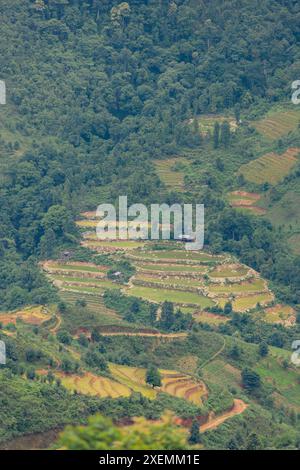 Campi di riso di Toraja nel Sulawesi meridionale, Indonesia; Rante Pao, Sulawesi meridionale, Indonesia Foto Stock