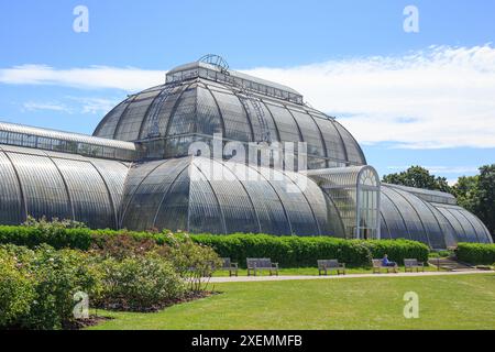 Kew Gardens, 20-06-24. Il Palm House è specializzato nella coltivazione di palme e altre piante tropicali e subtropicali. Fu completata nel 1848. Molti dei suoi p Foto Stock