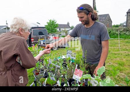 Giovane imprenditore che vende piante erbe su stallo di piante per vivaio a donne anziane alla fiera di campagna in Galles Regno Unito primavera maggio 2024 KATHY DEWITT Foto Stock