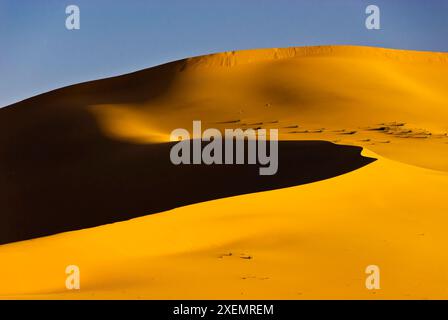 Khongoryn Els (Sabbie cantanti), Parco Nazionale Gobi Gurvansaikhan, deserto del Gobi, Mongolia. Il "canto" viene dal vento, e/o dal movimento... Foto Stock