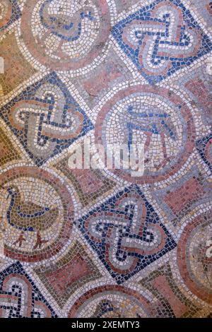 Tunisi, Tunisia. Pavimento in piastrelle a mosaico alle Terme di Antonino a Cartagine. Foto Stock