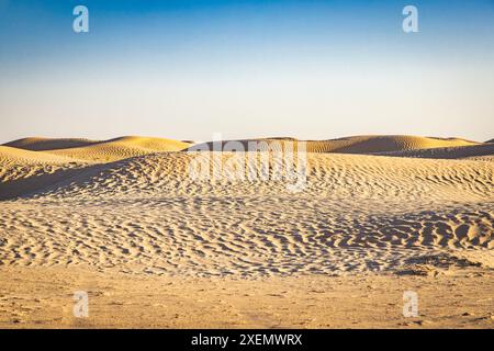 Ghlissia, Kebili, Tunisia. Dune di sabbia nel deserto del Sahara. Foto Stock