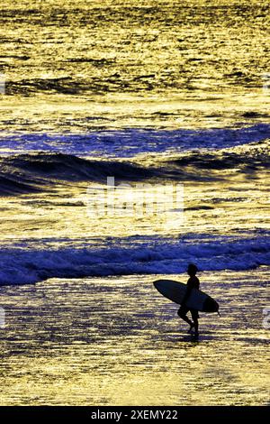 Solitario surfista lungo la spiaggia che entra nel surf Foto Stock