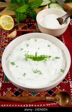 Cacik, con salsa di yogurt, menta, cetriolo, limone, cibo turco, Turchia Foto Stock