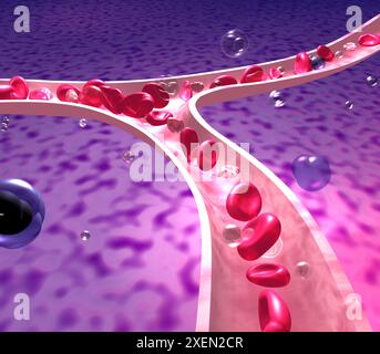 Illustrazione anatomica 3d di arteria o vena in movimento. Rapida circolazione di globuli rossi e piastrine nei capillari. Capillare su fondo organico. Foto Stock