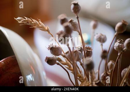 Una foto ravvicinata di cialde di semi di papavero essiccate e di uno stelo di grano in un vaso bianco. Foto Stock