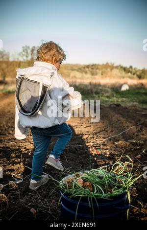 Un bambino che indossa una giacca protettiva bianca attraversa un giardino, trasportando un secchio pieno di cipolle verdi appena raccolte. Foto Stock