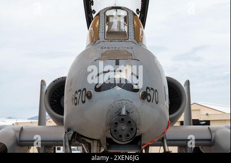 Un velivolo A-10C Thunderbolt II della U.S. Air Force si trova sulla flightline alla Davis-Monthan Air Force base, Ariz., 21 giugno 2024. L'A-10 è stato ufficialmente ceduto nel settembre del 2024. (Foto U.S. Air Force di Senior Airman Vaughn Weber) Foto Stock