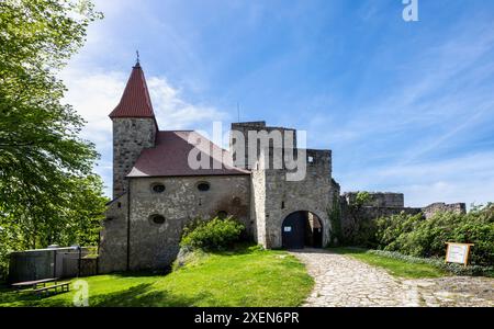 Castello in rovina Leuchtenberg in Baviera Foto Stock