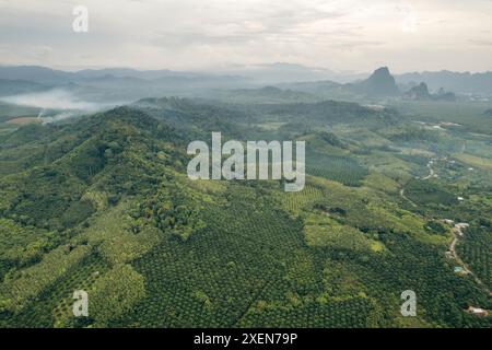 Panoramica dei lussureggianti terreni agricoli in collina vicino all'area delle cascate di Tad Gneuang nella provincia di Champasak nel Laos sud-occidentale; Laos Foto Stock
