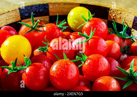 Primo piano di pomodori ciliegini multicolori (Solanum lycopersicum var. cerasiforme) con goccioline d'acqua in una ciotola di legno Foto Stock